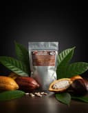 Cacao Bangala Zezepagnon, cabosse et feuilles de cacao africain